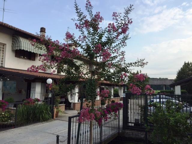 Hotel Locanda Da Carla ヴィジェーヴァノ エクステリア 写真